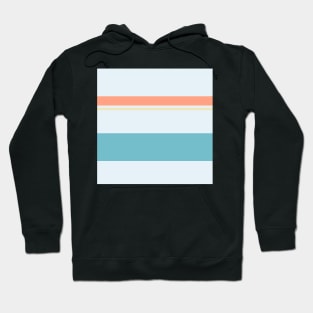 A matchless federation of Bright Gray, Dark Sky Blue, Peachy Pink and Light Tan stripes. Hoodie